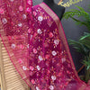 Organza Dupattas with Embroidery