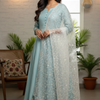 Soft Net Dupatta’s- Gold And Silver Color Dupattas