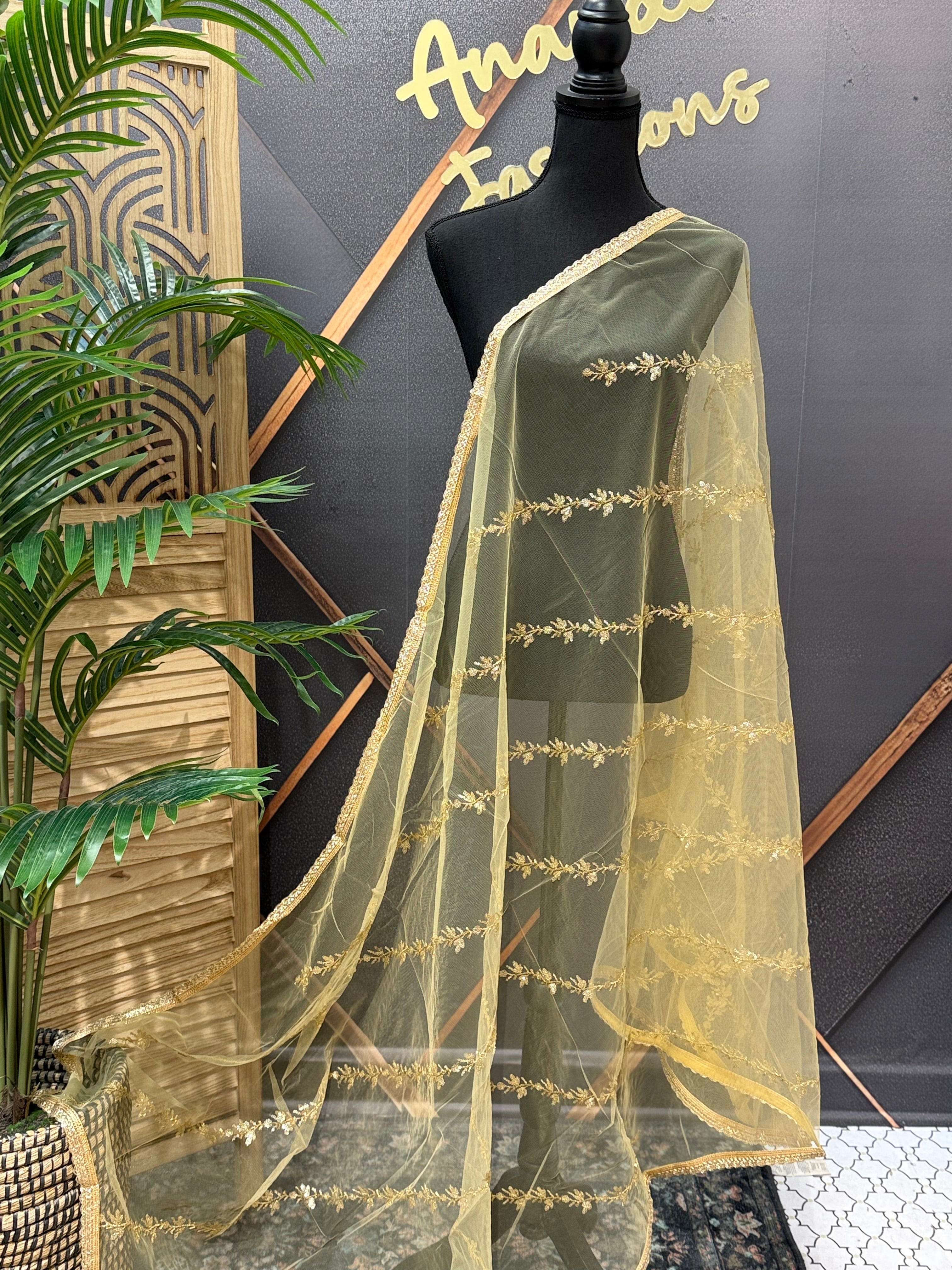 Gold Net/ Sheer Dupatta