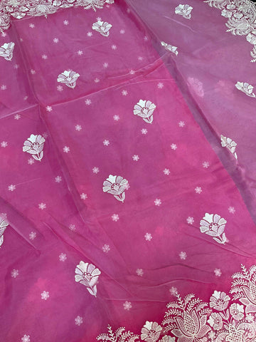 Organza saree with thread embroidery