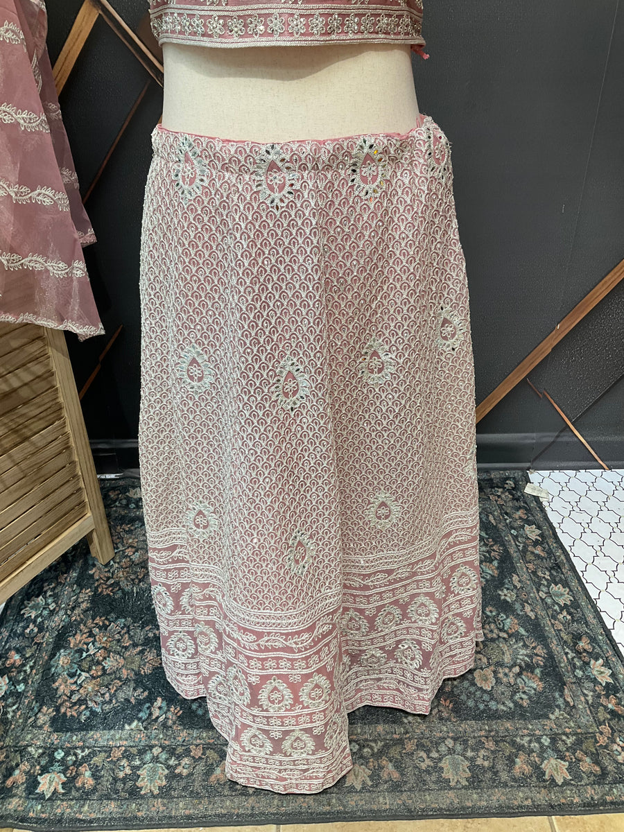 Pastel Pink Lehenga set
