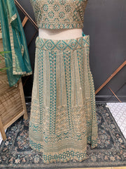 Plus size pastel Green lehanga set