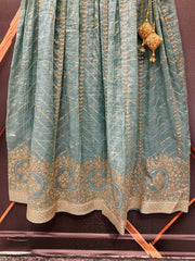 Organza Lehenga Skirt with Gold Zari - Party Wear