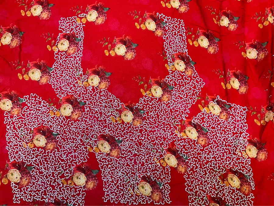 Chinon saree with floral print and bead work