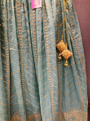 Organza Lehenga Skirt with Gold Zari - Party Wear