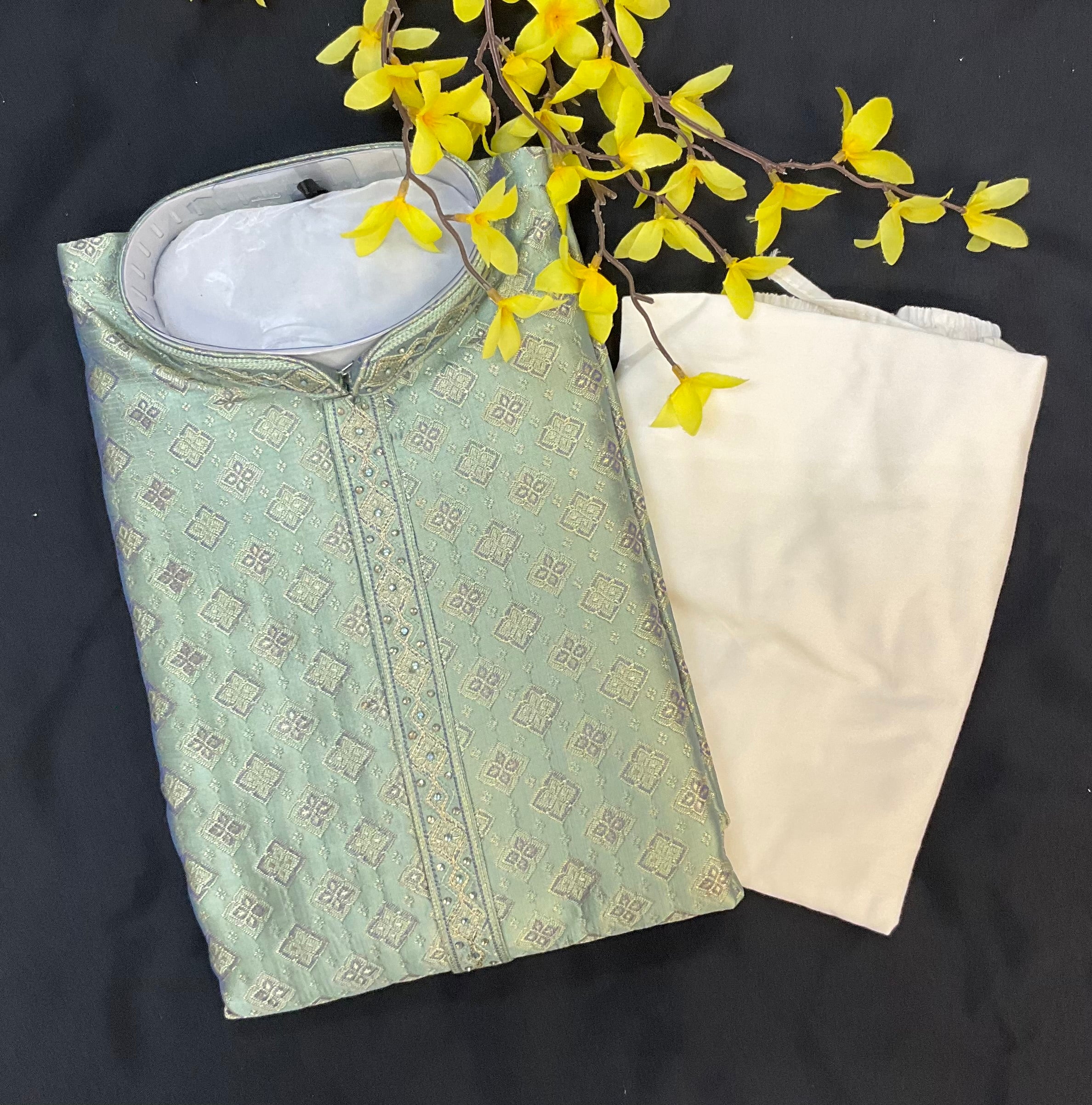 Premium- Pastel Green color Men’s Wear Kurta Pajama set