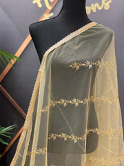 Gold Net/ Sheer Dupatta