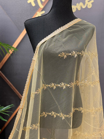 Gold Net/ Sheer Dupatta