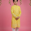 Young boy in yellow embroidered Indian kurta with white churidar pants on pink background with hanging green leaves