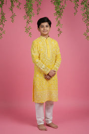 Young boy in yellow embroidered Indian kurta with white churidar pants on pink background with hanging green leaves