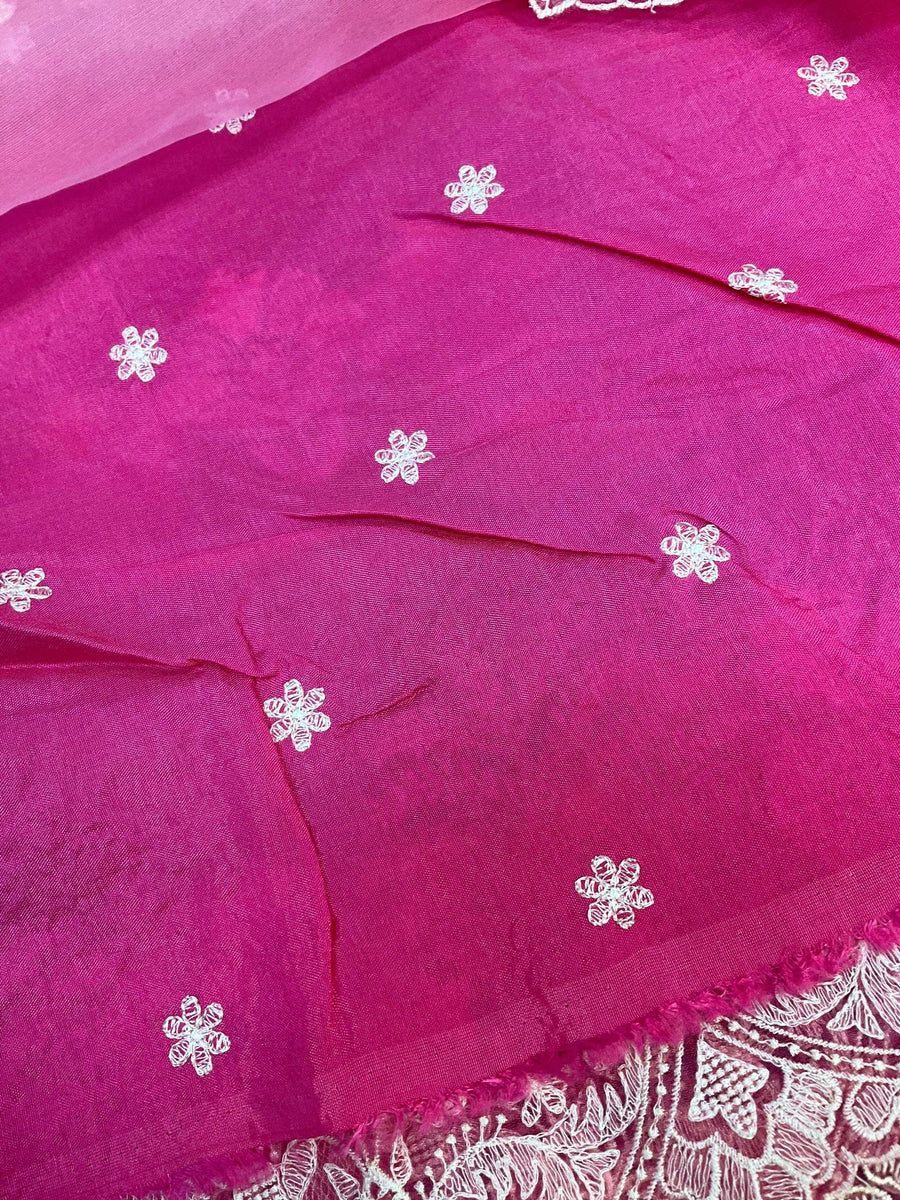 Organza saree with thread embroidery