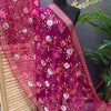 Organza Dupattas with Embroidery