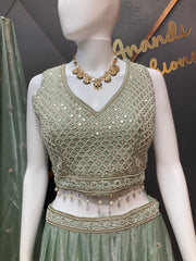 Pastel Green Party Wear Lehenga set
