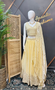 Party Wear Lehenga set