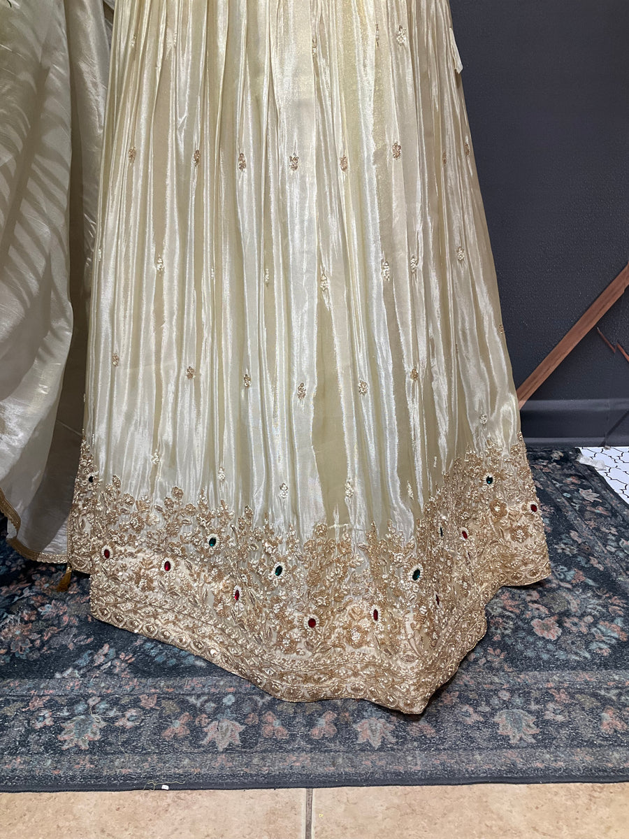 Pastel Shade Tissue Designer Lehenga set