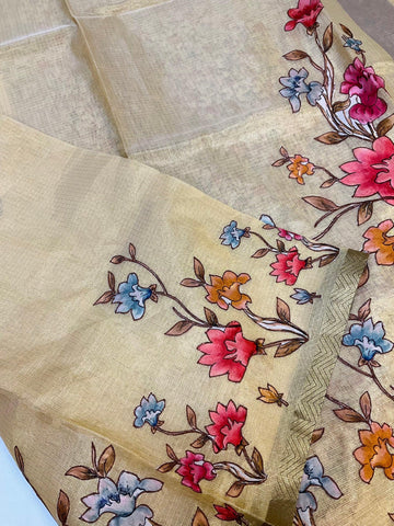 Tissue saree with applique work