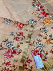 Tissue saree with applique work