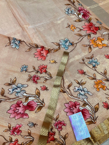 Tissue saree with applique work