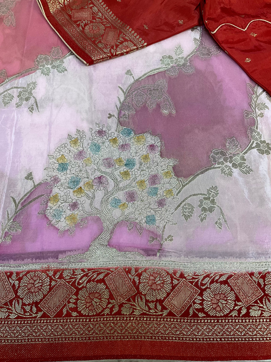 Benarasi Saree with stitched blouse