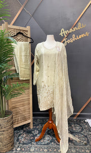 Plus Size Light Gold/Beige Tissue Party Wear Patiyala set