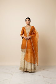 Size 42 - Shimmery Tissue Sharara sets