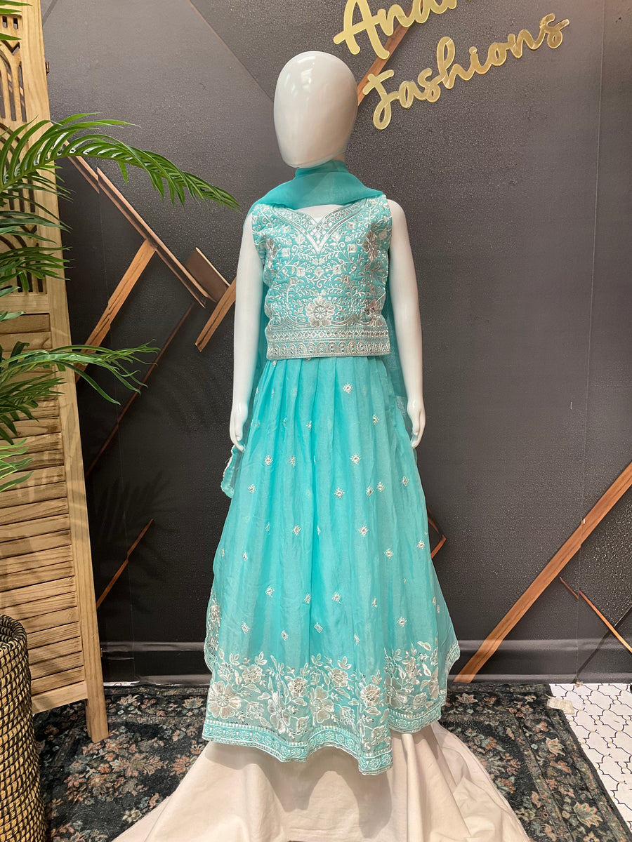 Blue Party wear Lehenga set