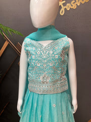Blue Party wear Lehenga set
