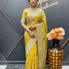 Oragnza Tissue Embroidery work  saree with Stitched blouse