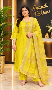 Women’s Shimmery Kurti Set – Plus Size