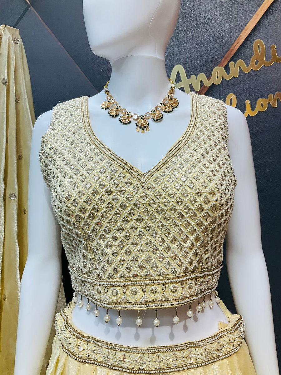 Party Wear Lehenga set