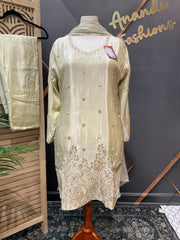 Plus Size Light Gold/Beige Tissue Party Wear Patiyala set