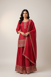 Plus Size Pink Lehenga with Long Blouse