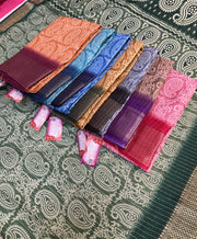 Light Weight Sarees with Mango Design