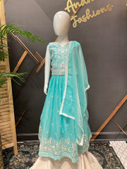 Blue Party wear Lehenga set