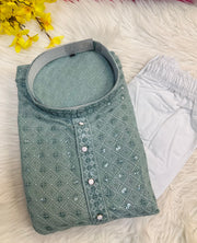 Pastel green Plus size men’s Chikankari work kurta set
