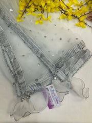 Silver Net Dupatta with Hangings