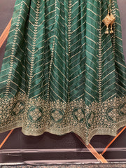 Organza Lehenga Skirt with Gold Zari - Party Wear