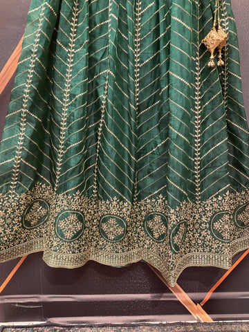 Organza Lehenga Skirt with Gold Zari - Party Wear