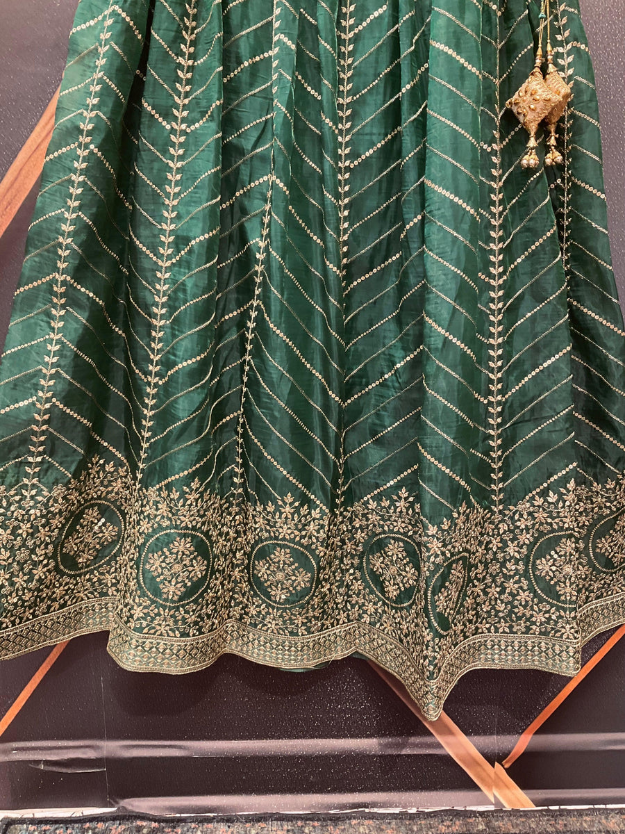 Organza Lehenga Skirt with Gold Zari - Party Wear