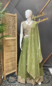 Pastel Green Lehenga set