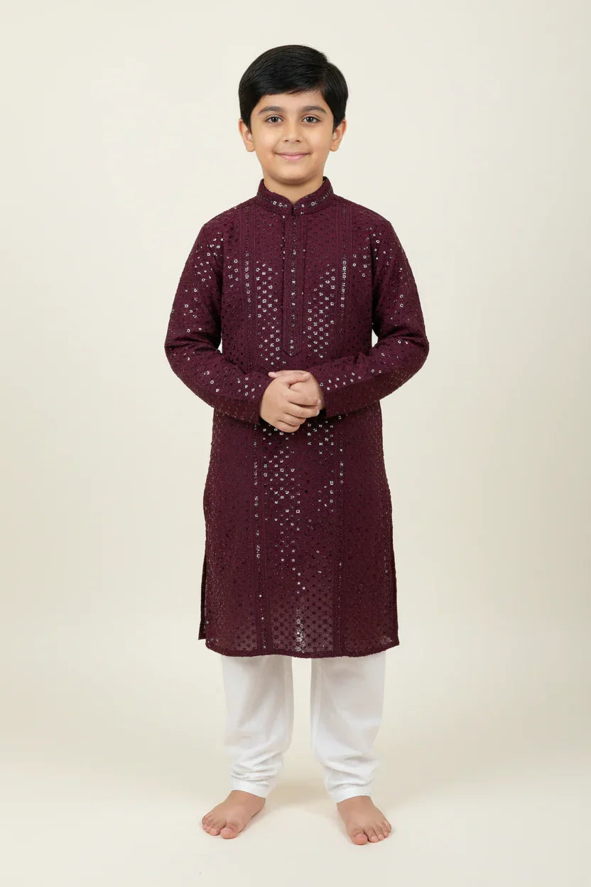 Wine Boys Chikankari Kurta Set with Sequence Embroidery