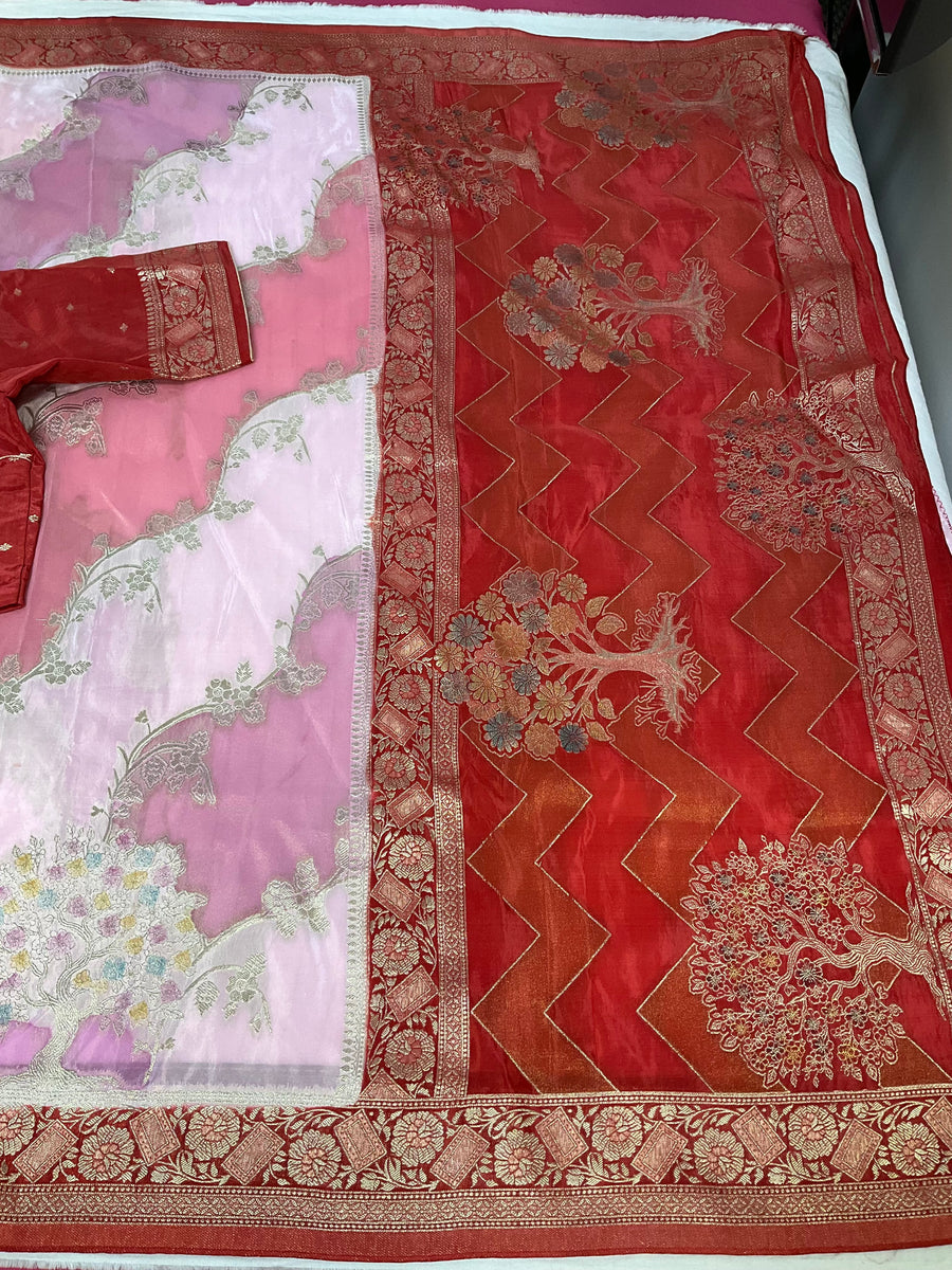 Benarasi Saree with stitched blouse