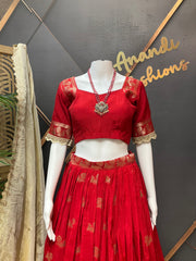 Red Benarasi Lehenga/Half Saree set