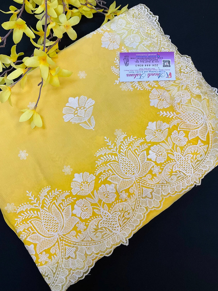 Organza saree with thread embroidery