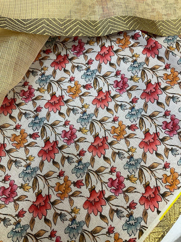 Tissue saree with applique work