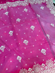 Organza saree with thread embroidery