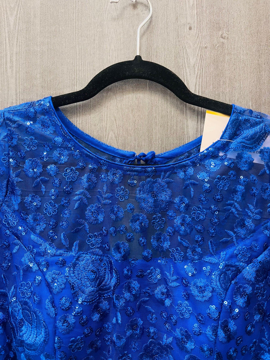 Net Blouse