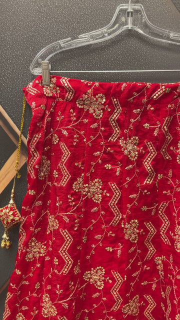 Party Wear Lehenga Skirt with Gold Zari Work - Lightweight Shimmery