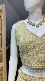 Party Wear Lehenga set