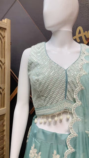 Light Blue Organza Lehanga set